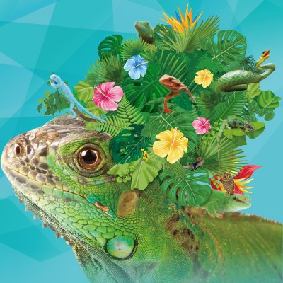 レプタイルズフィーバー22 大阪府 の情報 ウォーカープラス