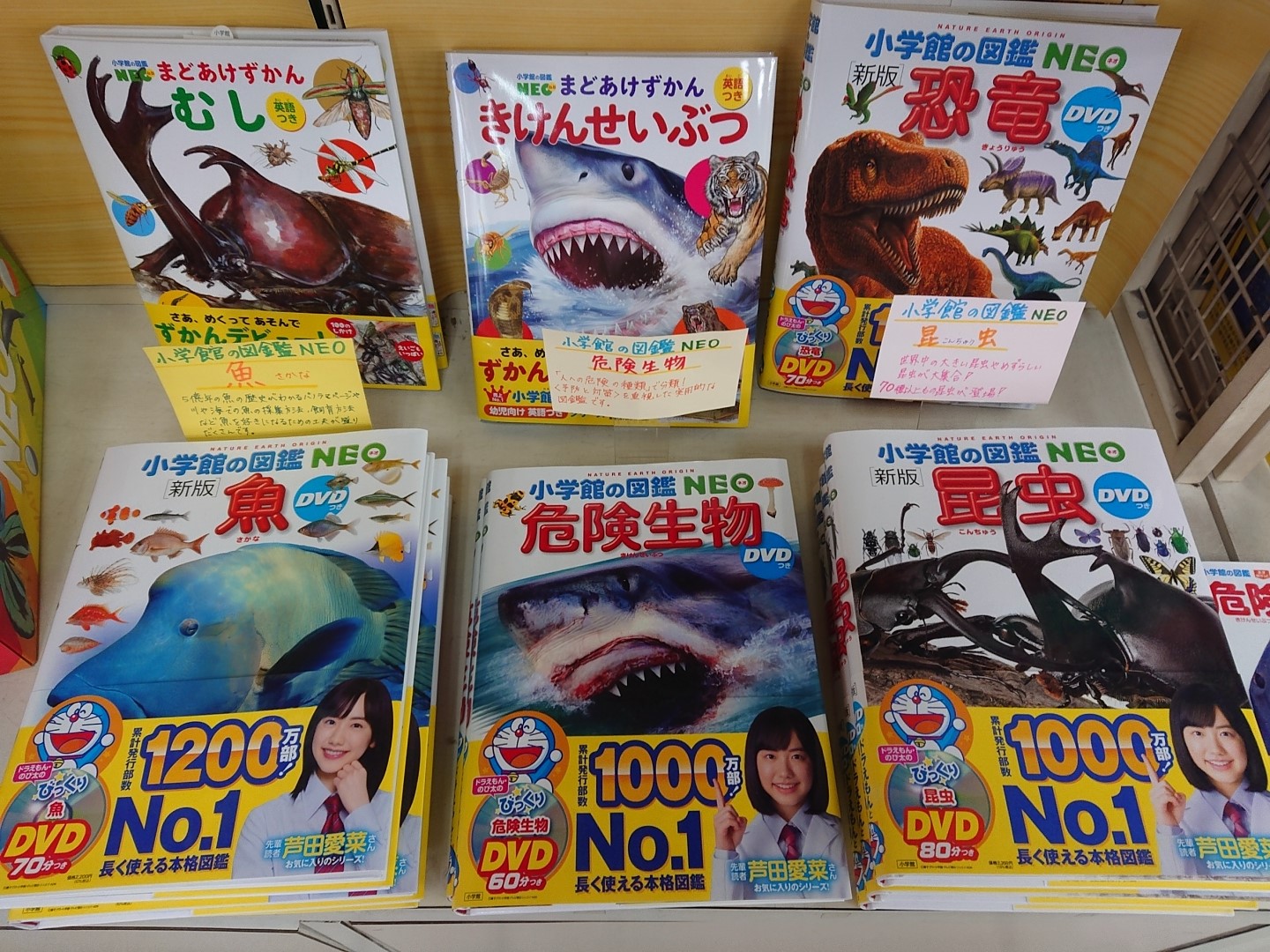 小学館の図鑑　NEO ドラえもんのび太のびっくりDVD 5枚セット 小学館の図鑑 NEO ドラえもんのび太のびっくりDVD 5枚セット