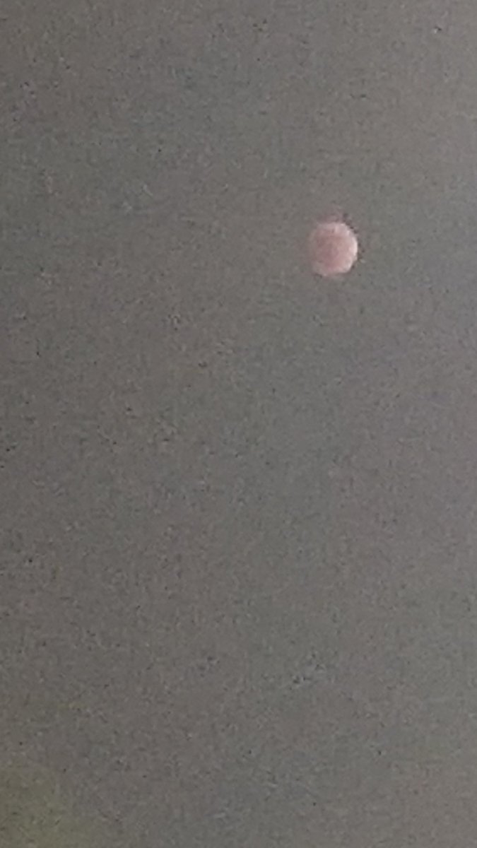 BannerDriskell's tweet image. One of the cooler things I've gotten to see. Just wish I had a better camera to capture it's beauty.