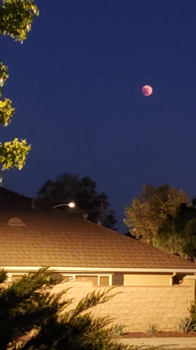 GiantFanInSoCal's tweet photo. #BloodMoon over #PerrisValley #CaWx #SoCalWx @DavidNBCLA @NBCLA @NWSSanDiego https://t.co/IeYtmaGlX6