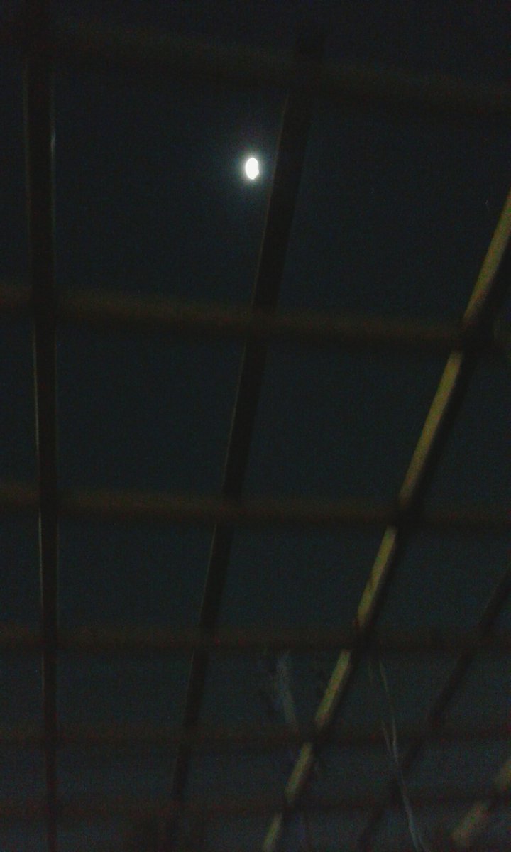IPujado's tweet image. #EclipseLunar viendo el eclipse desde el patio de mi casa