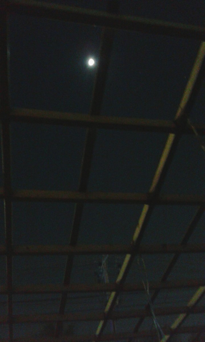 IPujado's tweet image. #EclipseLunar viendo el eclipse desde el patio de mi casa