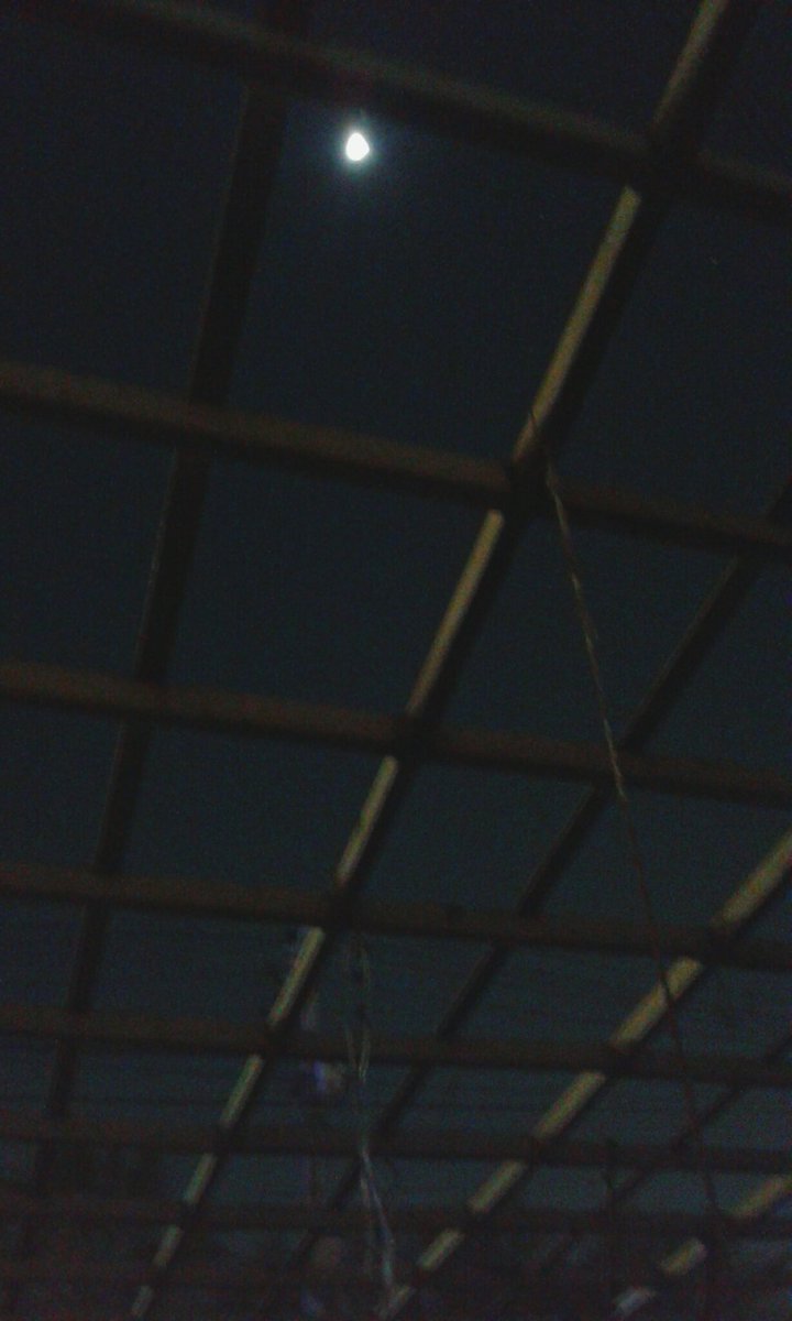 IPujado's tweet image. #EclipseLunar viendo el eclipse desde el patio de mi casa