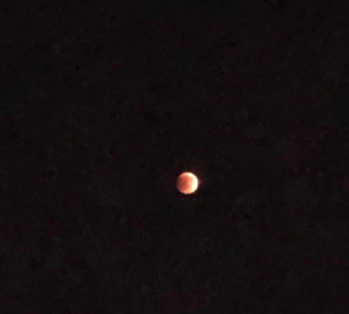 Info__Express's tweet photo. #EclipseLunar total captado desde la República Dominicana #InfoExpress
#EclipseTotaldeLuna
#Mayo2022 https://t.co/Er62zap8HT