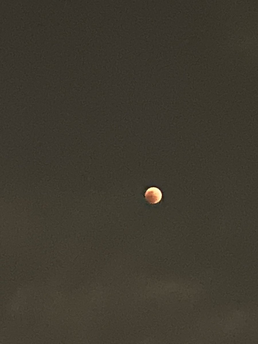 Brigitt58290109's tweet photo. En esta precisa noche, la luna nos regaló un hermoso espectáculo. Lo bueno es que el cielo de la gris nos dejo ver este magnífico evento 🥳 https://t.co/EeX2ZsEaAS