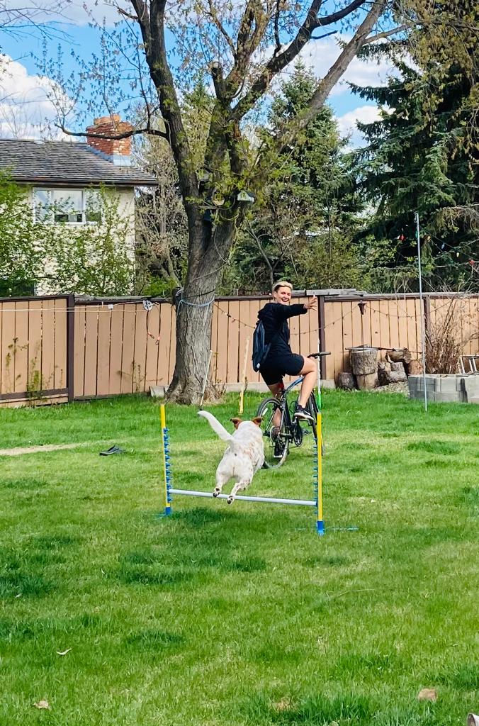 UnleashedExplo1's tweet photo. Created a new sport. Bike agility https://t.co/tnPBbyDeMv