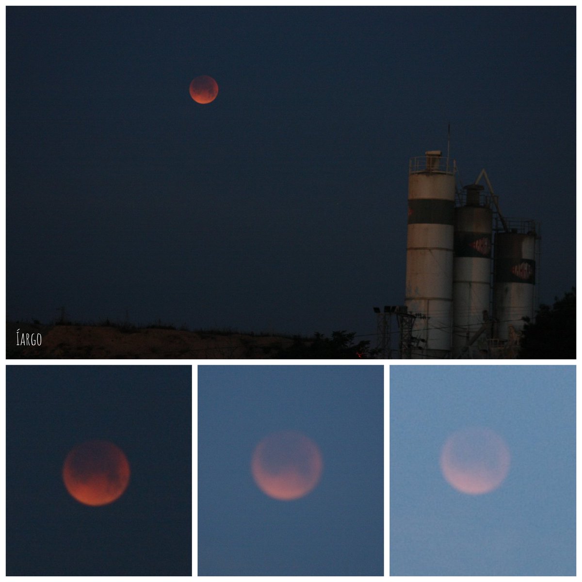 IargoSpatium's tweet photo. Eclipse total de Luna desde la Senda de Valdegurriana en La Cartuja Baja (Zaragoza)

Ha amanecido con la Luna eclipsada. 🥰🥰🥰

#LunarEclipse #EclipseLunar https://t.co/p9cd7sZXIO