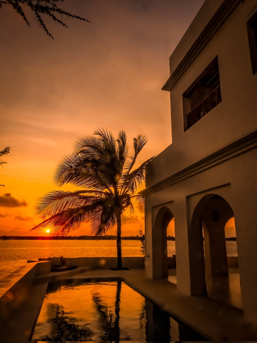 ms_mutegi's tweet photo. I miss Lamu. https://t.co/bvwZIc28Ld