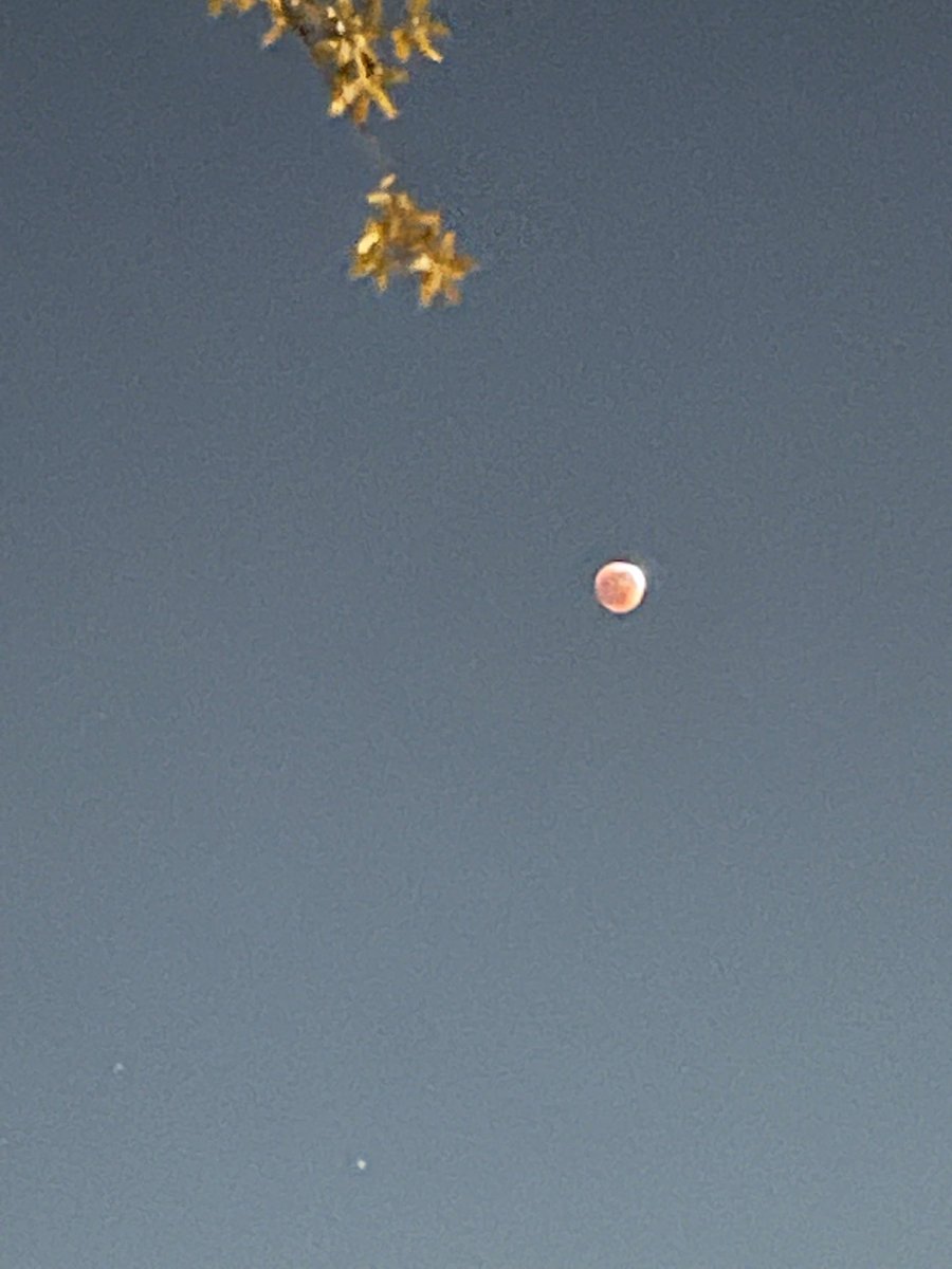 LikiFlo13's tweet photo. #ECLIPSEENTN en Spring, TX https://t.co/5aNjsXdFJo