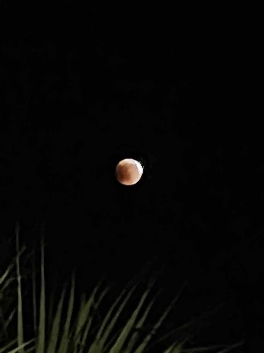 Red Lunar Eclipse happening right now if you didn’t know!