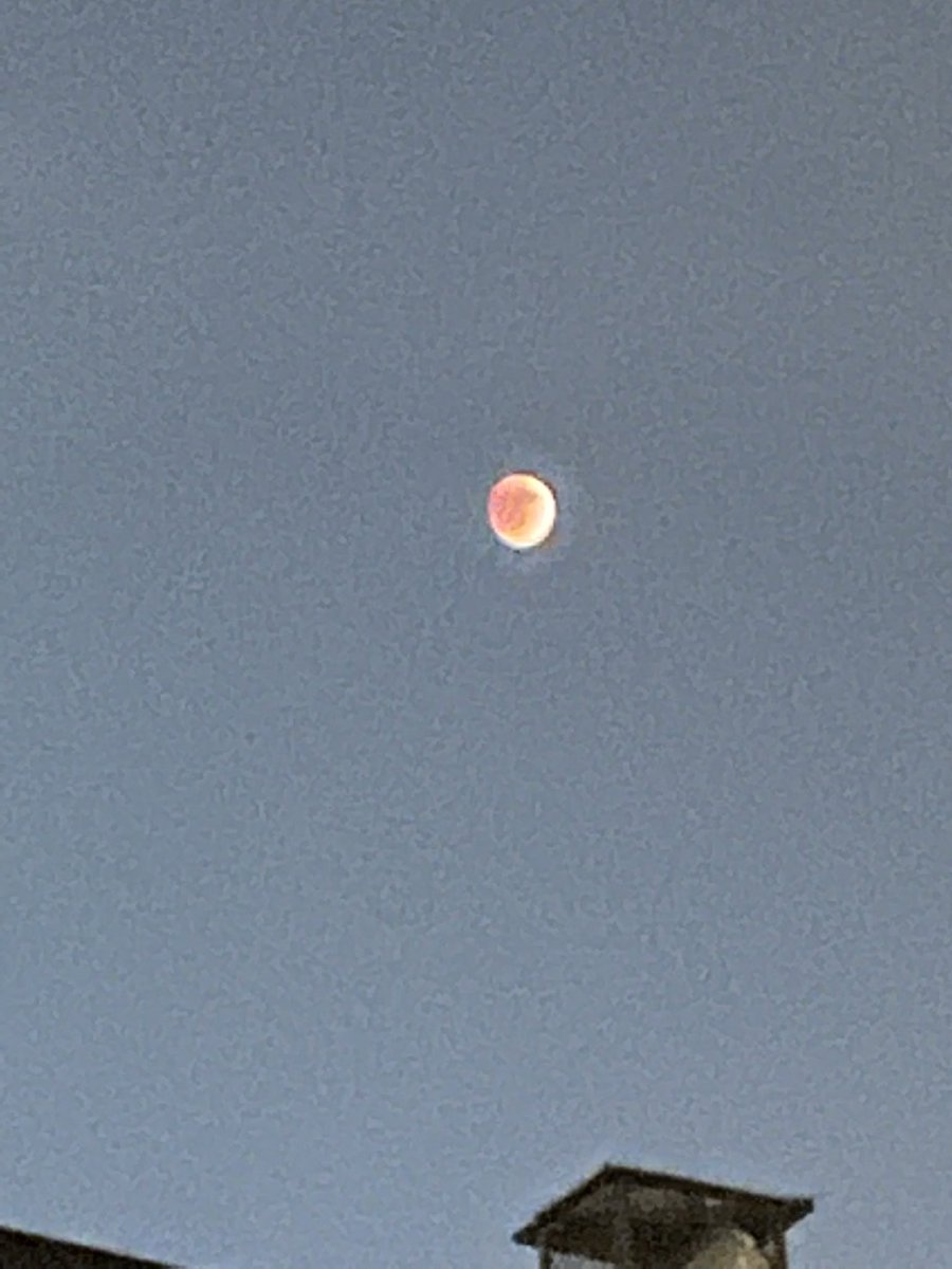 akatemom50's tweet photo. Go outside. Be late for work tomorrow. It is worth it https://t.co/bmZcjY7QP8
