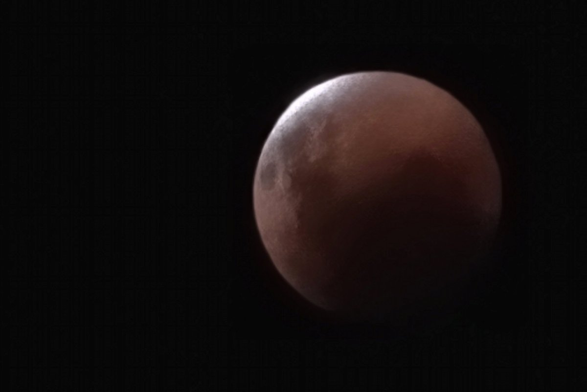 LuuPeterlin's tweet photo. 😍
#eclipseentn #EclipseLunar https://t.co/x1Hc9lQqCW