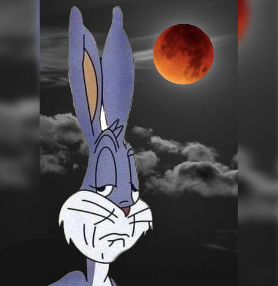 Yo viendo el eclipse // El eclipse viéndome a mi