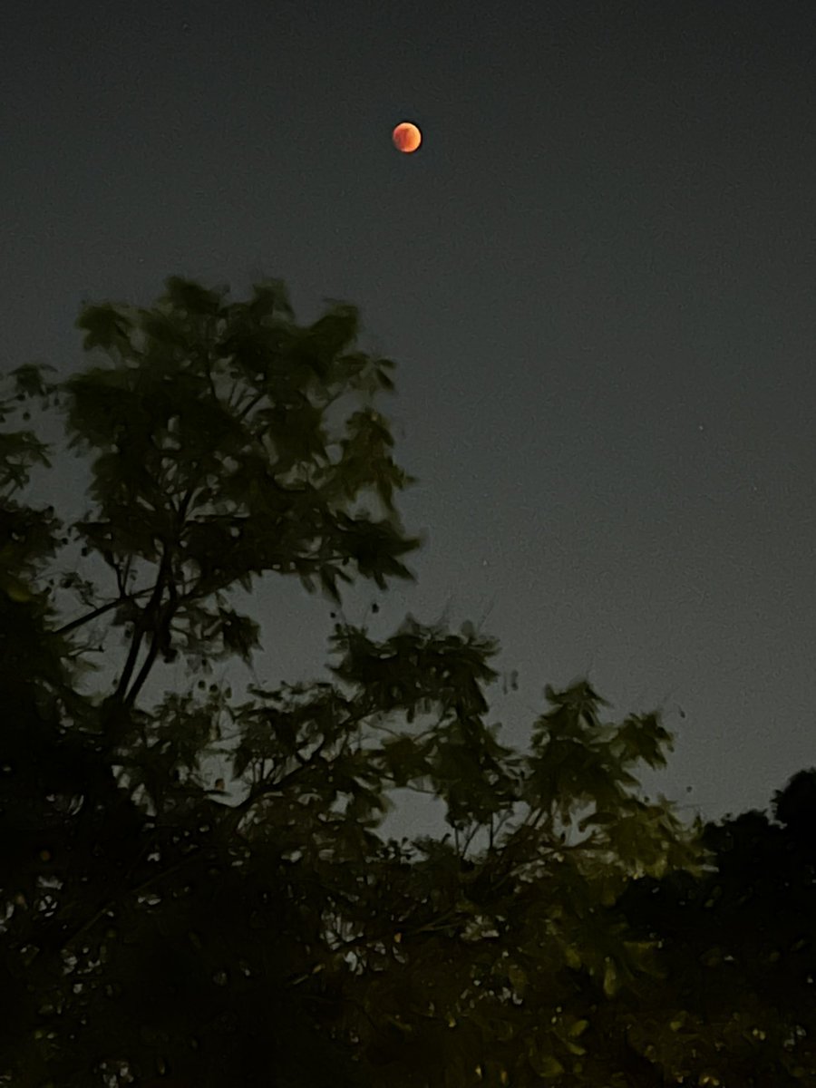 HistCotidianas's tweet image. ¡Salgan a ver esta hermosa #LunaDeSangre #LunaEclipse  ahorita! 😍😃😍