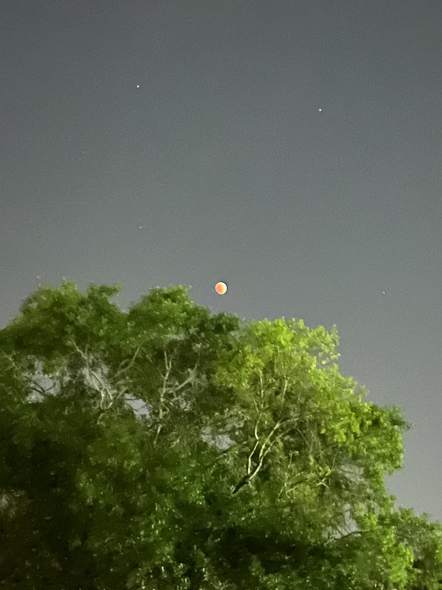 Bethmeth3's tweet photo. Eclipse Houston @abc13weather @abc13houston #Houston https://t.co/5k7YXG2Fqk