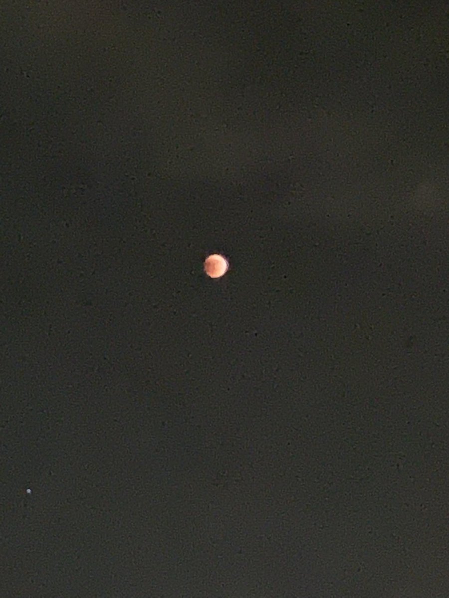 Kireeti V tweet media