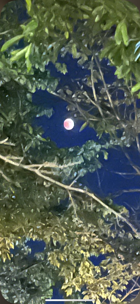 ManagerFlo's tweet image. Lunar eclipse 🌓🌒🌑
