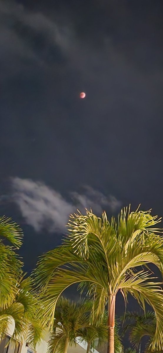 Levermann's tweet photo. Bloodmoon eclipse tonight in Miami Beach.  
#BLOODMOON2022 https://t.co/1SNvOXQ2ih