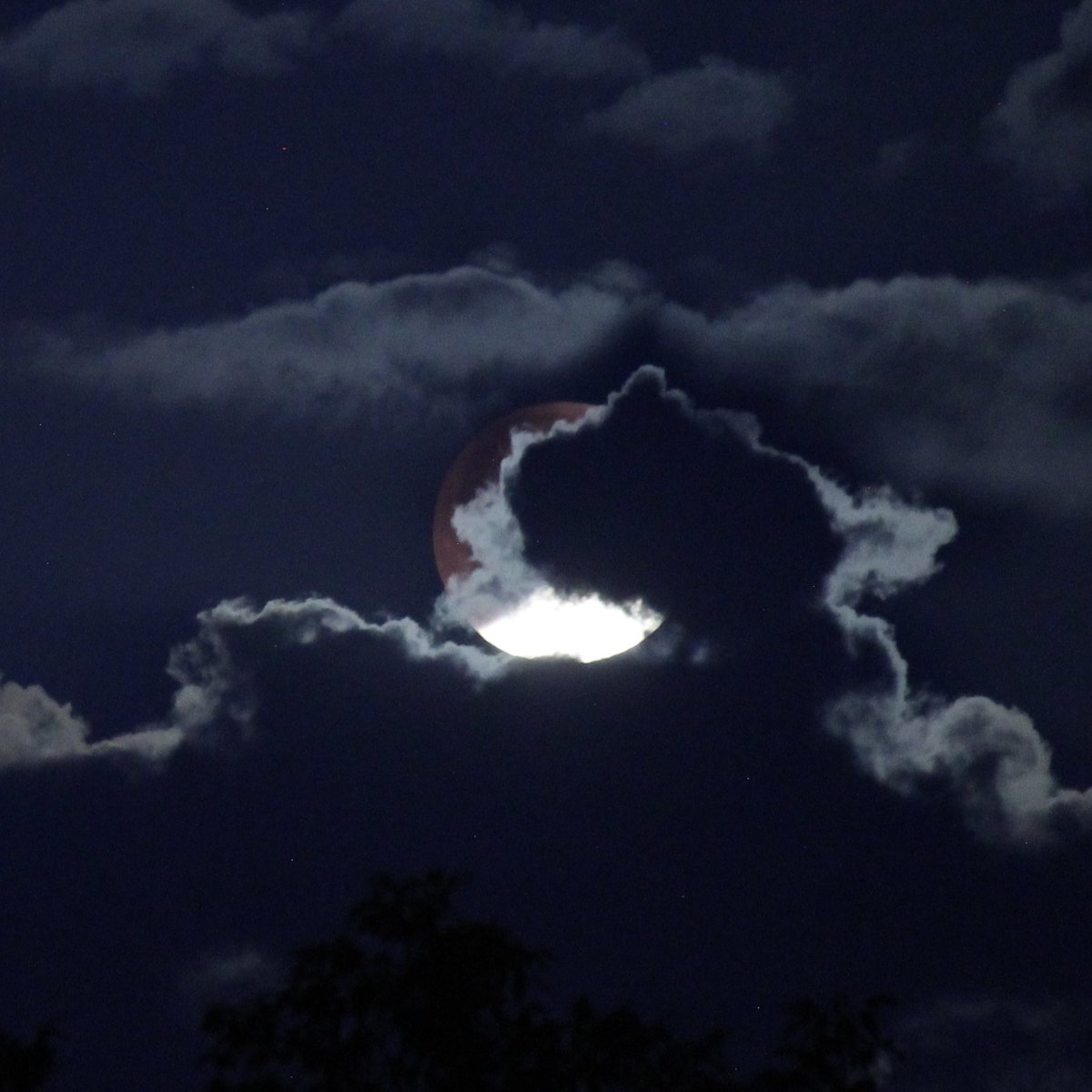 noelypb's tweet photo. #LunarEclipse from Switzerland. At Dawn, moonset, clouds. Bit of a challenge this one! #lunareclipse2022 https://t.co/FUy5Bv4paW