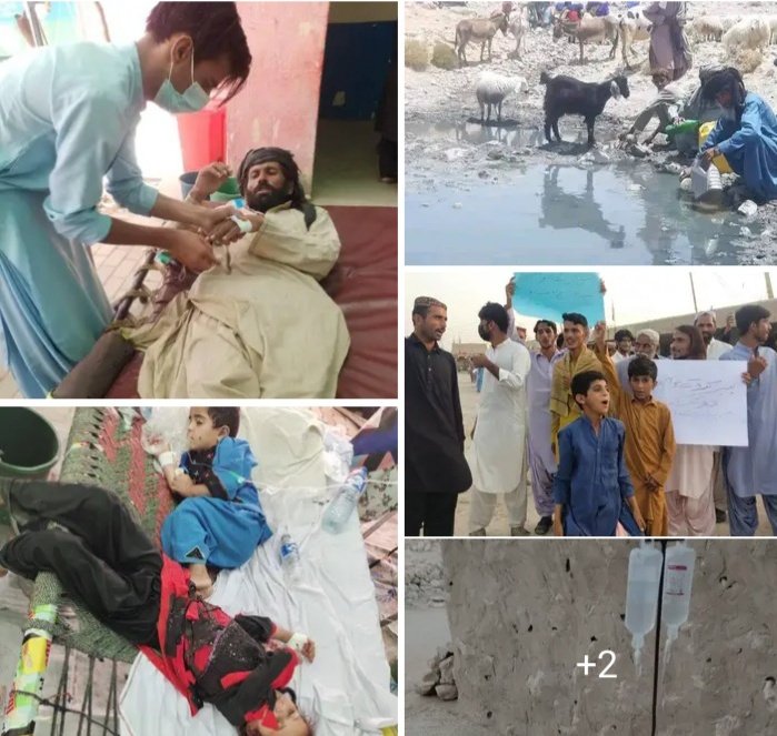 Aman_Baloch07's tweet photo. Just a few bottles of water is not enough for the whole area of ​​Pir Koh. They need permanent Solution of Water,Every human being, Cattle s and Toddlers dying of thirst. threatening Condition in Pirkoh.
@AQuddusBizenjo
#PirKohNeedsWater 
#PirKohKoPaniDo https://t.co/0AdJeXBZgz