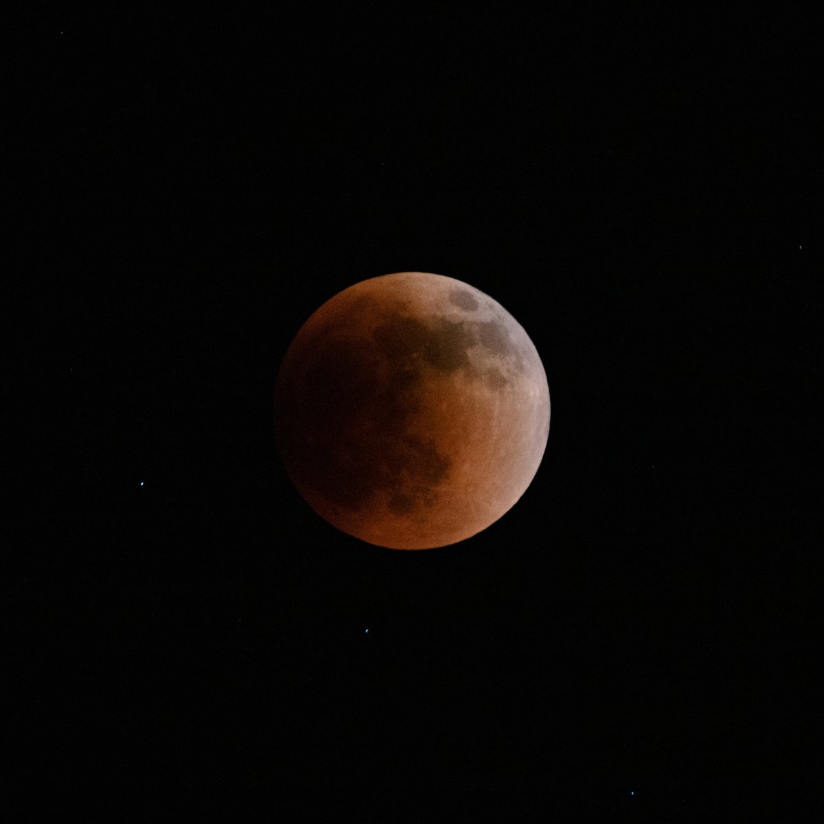 JennyHPhoto's tweet photo. Tonight's Lunar Eclipse https://t.co/Rae2CzKaCt