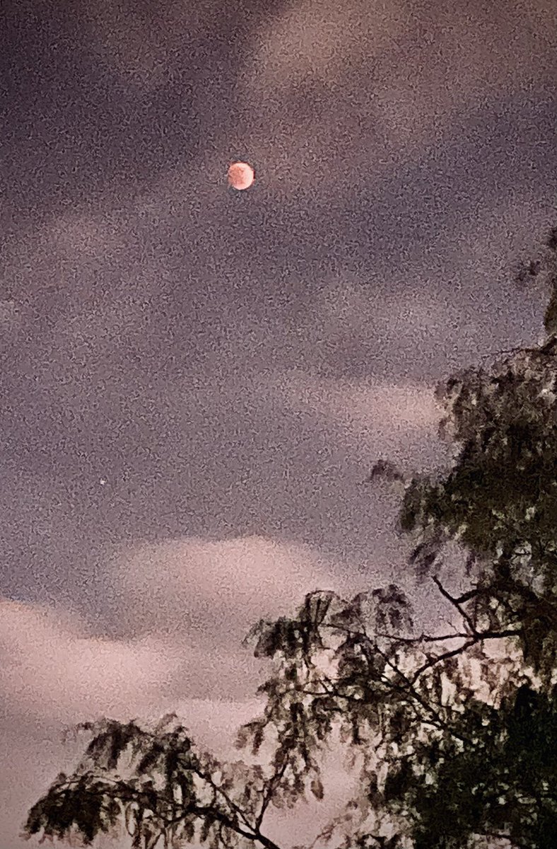 RickSchell's tweet photo. #LunarEclipse #mcallentx https://t.co/7xIbFI7STR