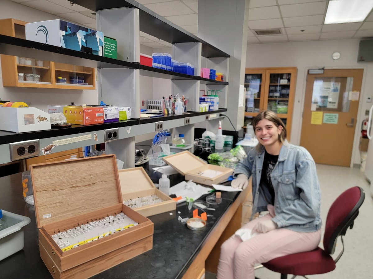 umdeso's tweet photo. Congrats to #InsectTerp Jenan El-Hifnawi! πShe was the 1st ESO undergraduate representative and spent a year in the #EspindoLab working on edamame pollination. We will miss you greatly and are so proud of the work you've done ππ¦π @UMD_AGNR @UMDEntomology https://t.co/AbLQdCRmta