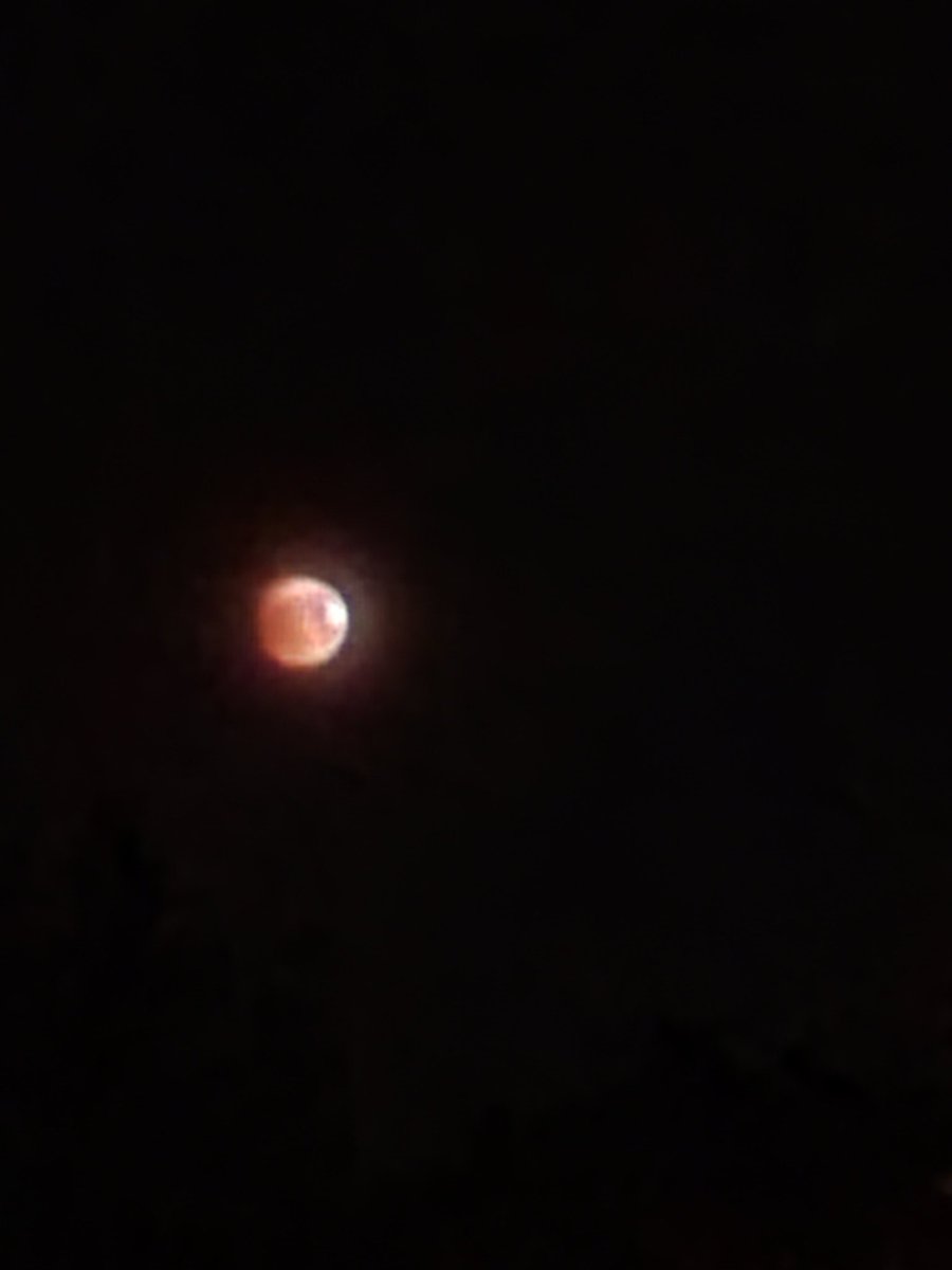 MabletonMaker's tweet photo. I hope all our Cobb and Mableton scientists got a chance to experience our lunar eclipse tonight. Miss you much.
#ultimatelearningexperiance
@STEMcobb 
@cobbscience https://t.co/r9jEm7sC0N
