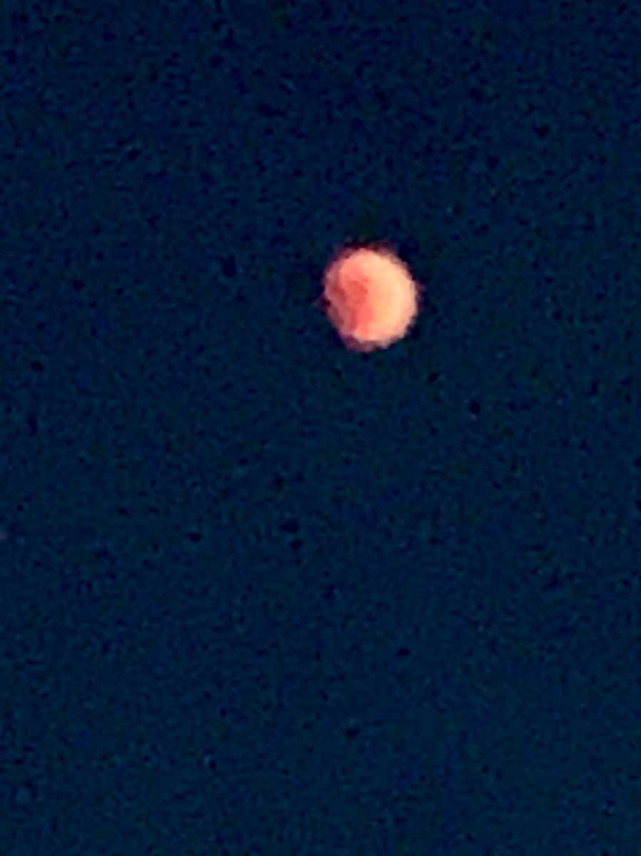 rangelt_david's tweet photo. @elonmusk elipse desde SLP https://t.co/CXHcSXwGxf