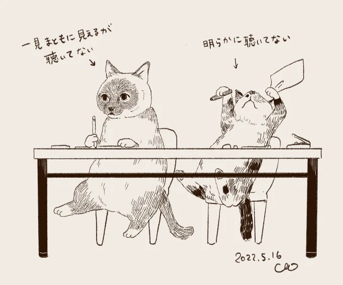 #ゆる一日一絵
そろそろ猫ちゃんず塾に通わせたほうがいいかな?とオットに言われたが多分無駄だと思うという絵。 