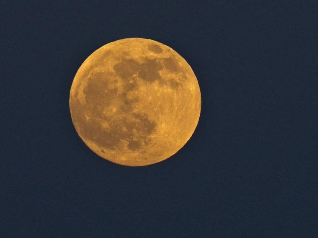 andreamoctezuma's tweet photo. “Quizá la magia no está en la luna, si no en quien piensas mientras la ves brillar.” ✨ https://t.co/4lAadcqbKf