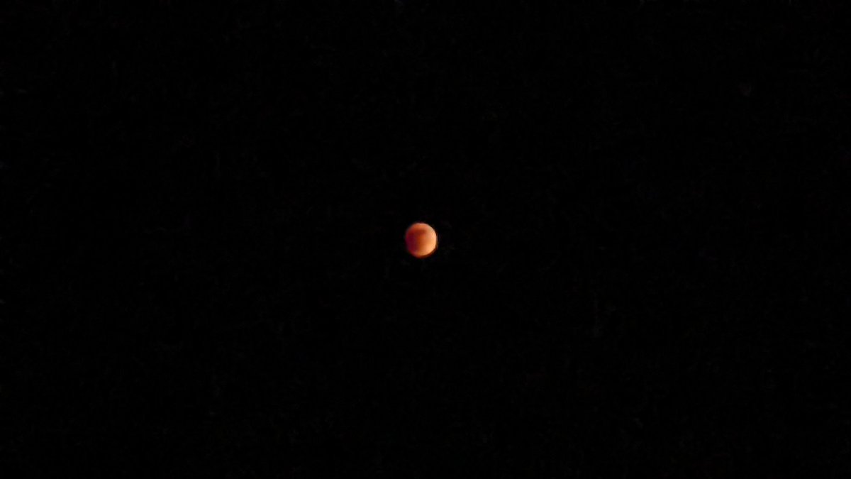 OfficialSteveS's tweet photo. #bloodmoon #LunarEclipse https://t.co/7BhPFWxfeo