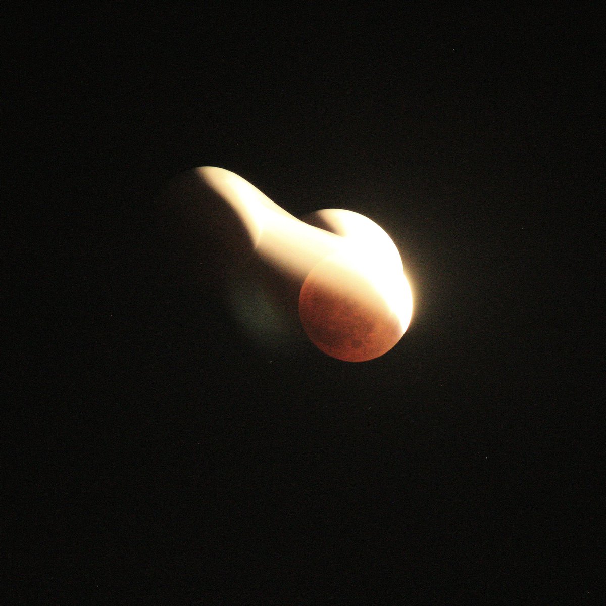 LazaroCaptures tweet media