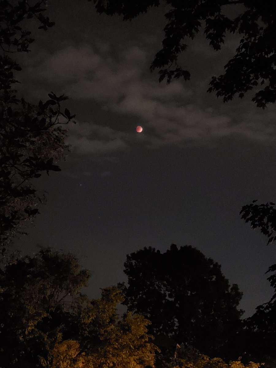 LRTWesterville's tweet photo. Goodnight moon... https://t.co/LV3e8gDY4T
