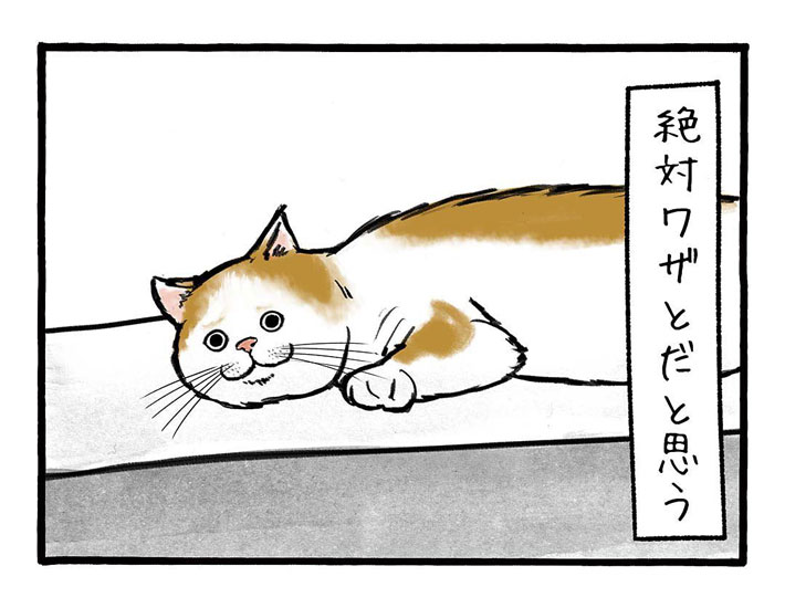 「絶対わざとだ…」 職人と猫の攻防に「笑った」「お疲れ様」の声 https://t.co/RyvopTthcL @grapeejpより 