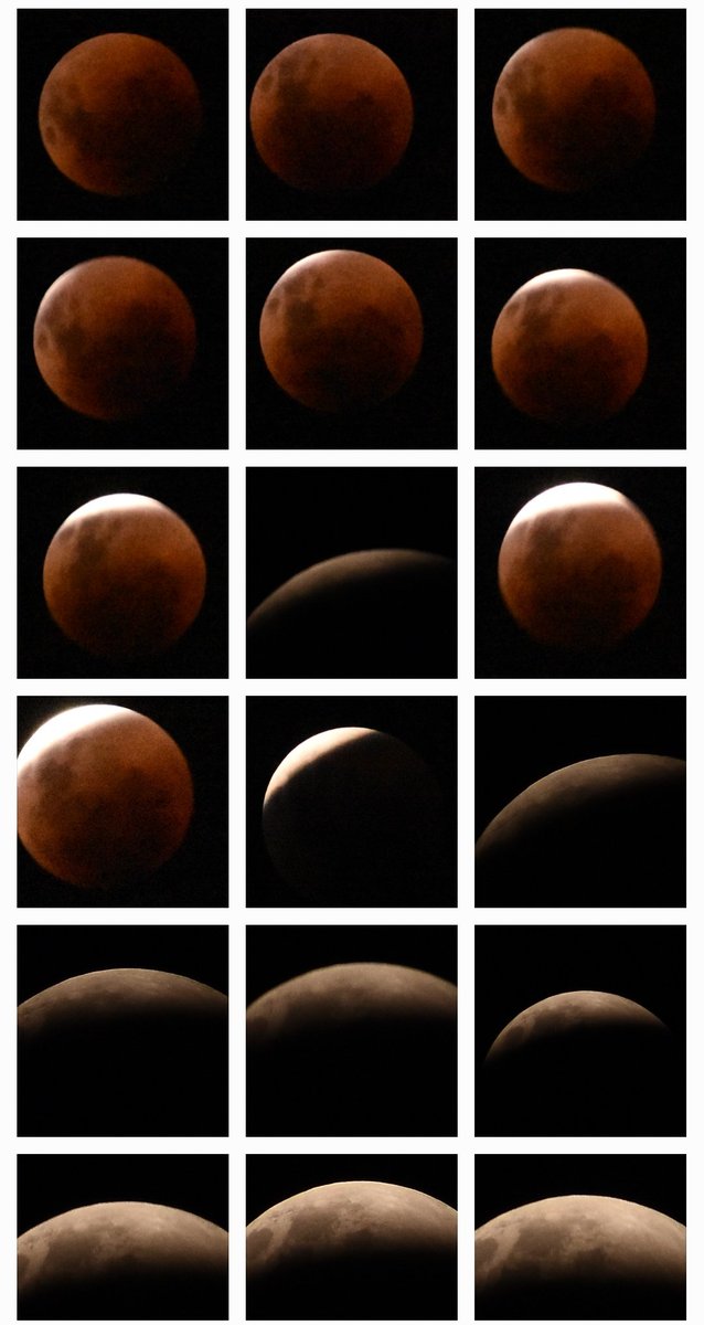 Alexpachu1's tweet photo. Es genial.
#EclipseLunar https://t.co/4ge0aOwk2N