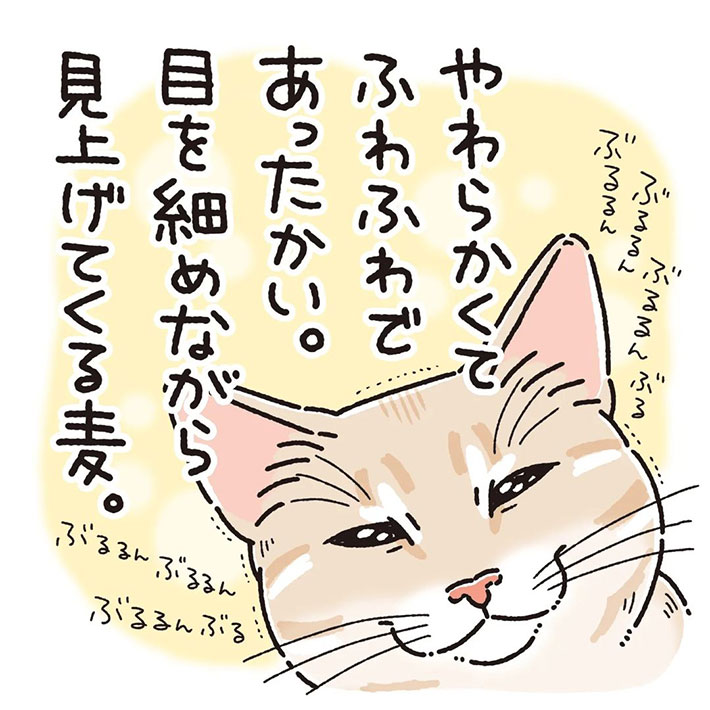 「幸せと不幸がいっぺんにきた」 猫に甘えられた飼い主がそう思った理由が、こちら! https://t.co/Mf4eo2VIhI @grapeejpより 