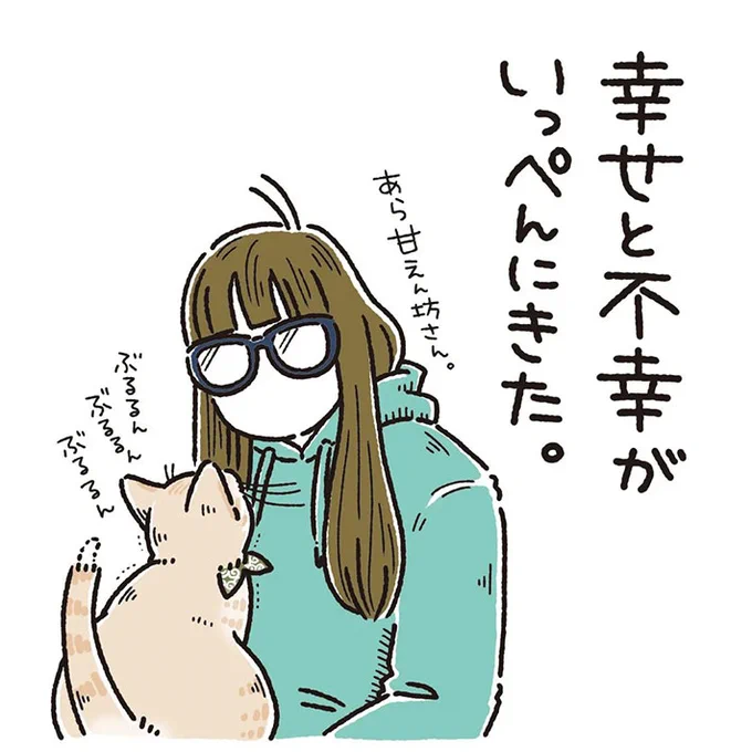 「幸せと不幸がいっぺんにきた」 猫に甘えられた飼い主がそう思った理由が、こちら! https://t.co/Mf4eo2VIhI @grapeejpより 