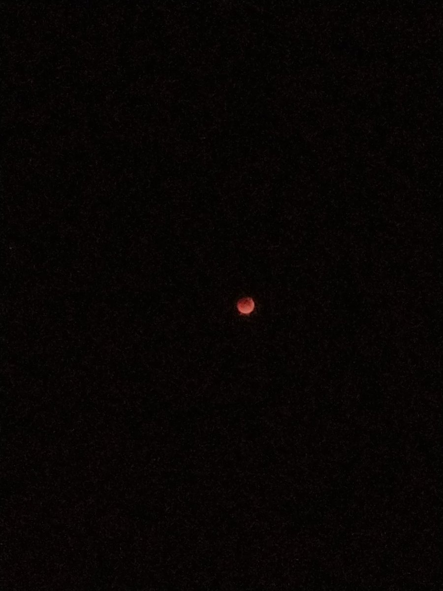 Novinho_sigilo_'s tweet photo. Agora posso dormir em paz depois de apreciar toda essa maravilha ♥️🖤🍷
#EclipseLunarTotal
#EclipseLunar 
#Eclipse
#limar 
#Lua https://t.co/snf8K9JOVS