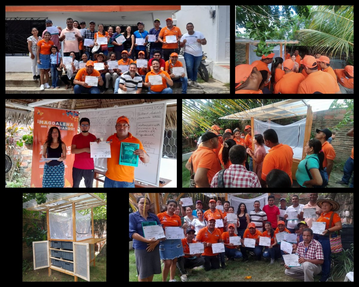 Karol_BarraFon's tweet photo. Implementation of a Black Soldier Fly productio's prototype &amp; training with peasants #InsectsForPeace 🐛🕊💪🏽 #BrigadasCampesinas @MagdalenaGober @desarrollomag  @FMVZ_UNAL @EntoPro @DIEB_UNAL @WUR https://t.co/laVFCwOY5o