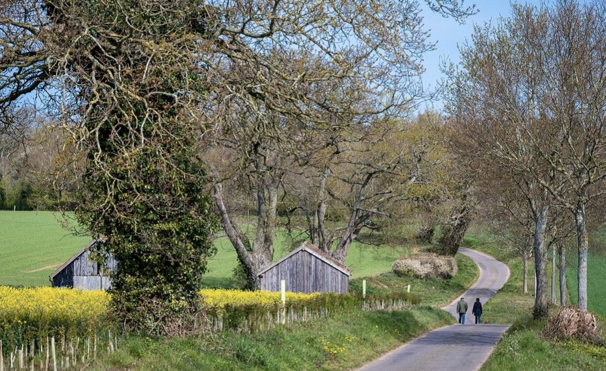 🥾 DYK May is National Walking Month? 🥾

Well. Here's a suggestion for a #WalkThisMay

How about the #Walsingham Way?

Enjoy beautiful views, rivers, villages and historic churches. 

Everything you need to know, including the route is on the link 

>> cathedral.org.uk/visit/things-t…