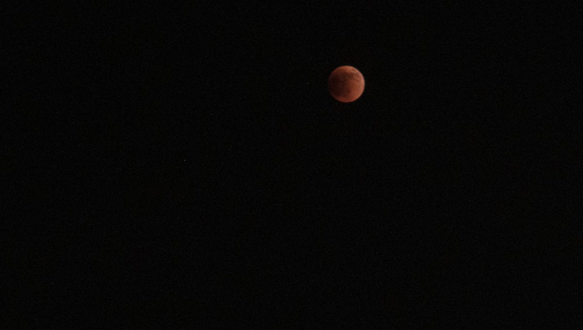 SeilerPhotos's tweet photo. A total lunar eclipse tonight, creating a blood red moon as seen in North Dakota.

#lunareclipse #eclipse #bloodmooneclipse #bloodmoon  #moon #photography #scottseiler #NorthDakotaPhotographer #YesND https://t.co/xFD55yNKAn