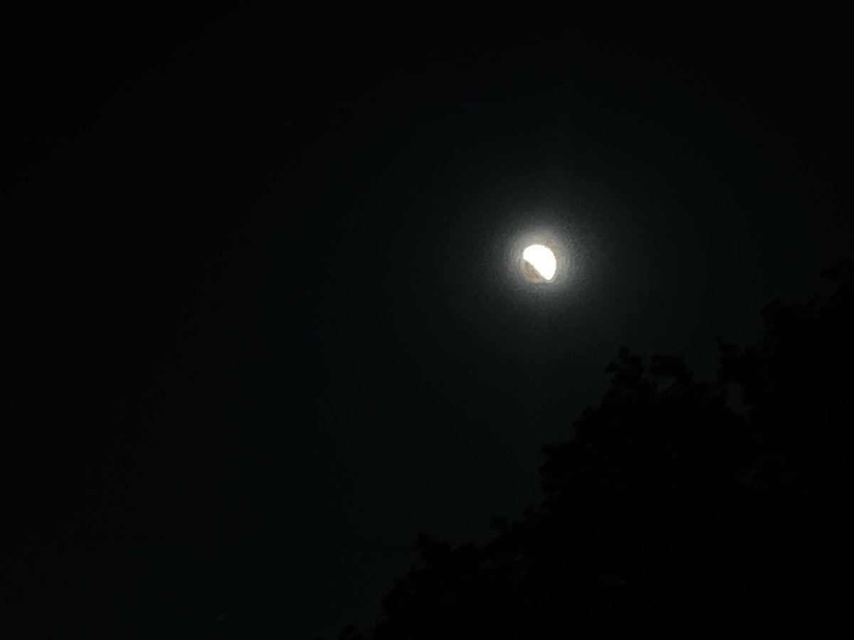 nancyholguin15's tweet photo. I saw the ‘red moon’. What an amazing opportunity to witness this natural phenomenon. #LunarEclipse #NASAScienceLive @NISDFields @NISDScience https://t.co/thfzywnC1I