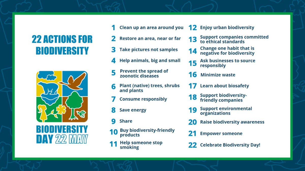 KambojAnanya's tweet photo. 22 May is #BiodiversityDay - a chance to help protect the diversity of life on Earth. 🌏🌱

We all have a role to play in acting #ForNature. Discover 22 actions you can take to support #biodiversity.

#SDGs

@MonaPatelT @ishdeep_kohli @ECOWARRIORSS @OlumideIDOWU @mrEmTee @SDG2030 https://t.co/49uHtwIz5f