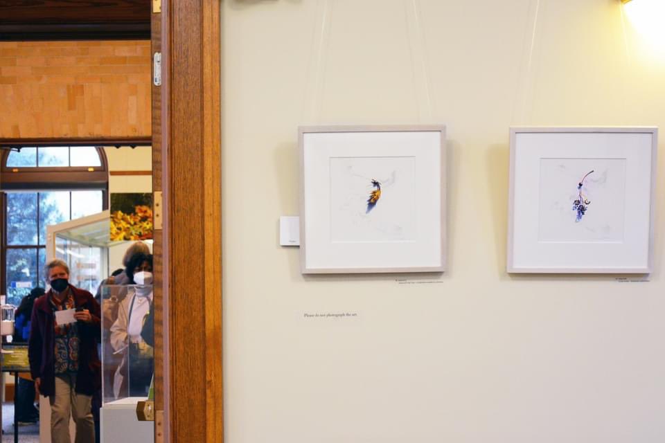 LauraFantini's tweet photo. Busy week and a great opening at the Arnold Arboretum of Harvard University in Boston for my solo exhibition "Seeds of Tomorrow: Woody Plants of the Arnold Arboretum" on view through May 30. Open Friday-Monday, noon-4PM

https://t.co/h8bOxJClDW https://t.co/p5RzVrdXwh