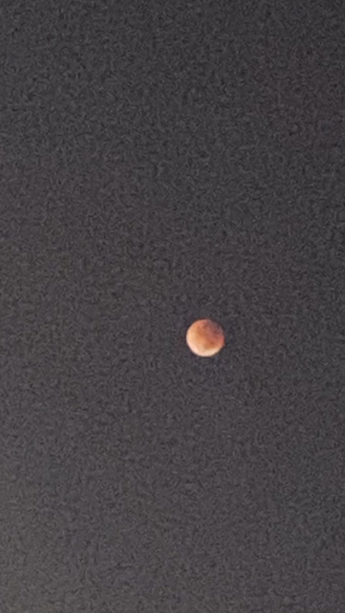 Okailaine's tweet photo. Como eu tô vendo a lua/ como a foto sai… obs: a famosa câmera do iPhone11🫠🤌🏻 olhem a lua #Lua de Sangue #EclipseLunar #NASAScienceLive https://t.co/Ra1jVyhaDZ