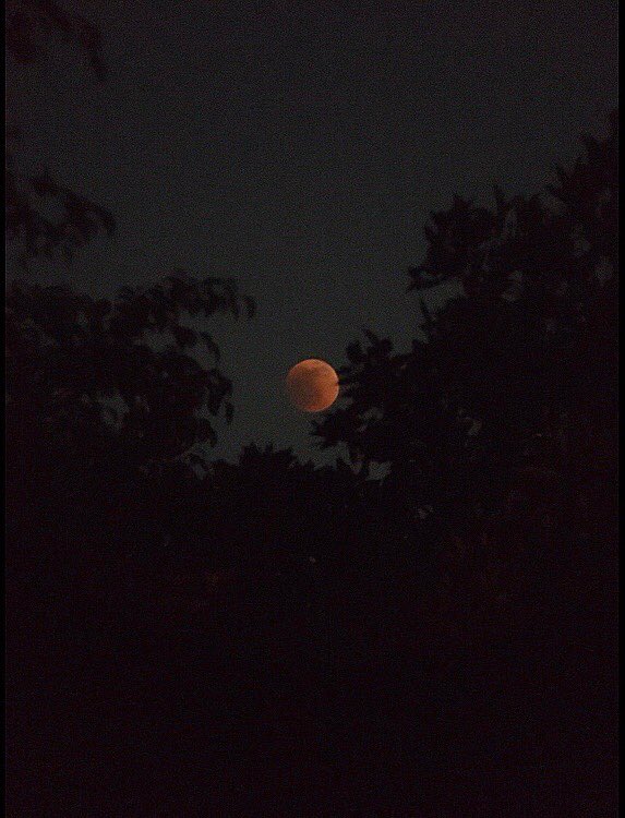 Danii Horror tweet media