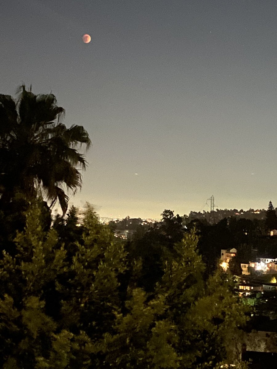 When you’re too lazy to get out the real camera…