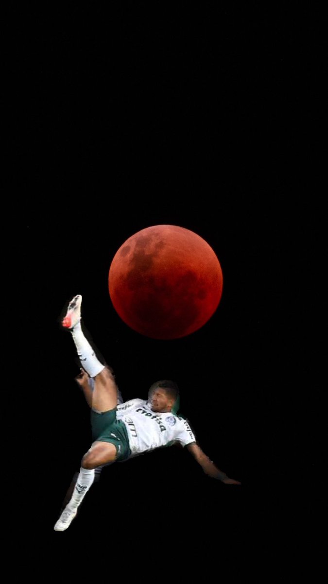 Alguem sabe me dizer se essa foto é real????