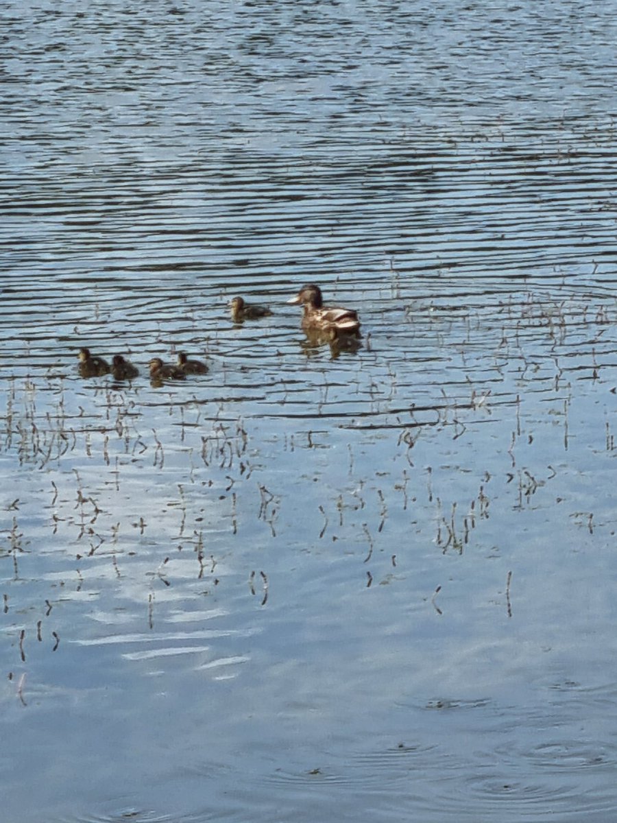 Manuela Lipak (@manuela_lipak) on Twitter photo 